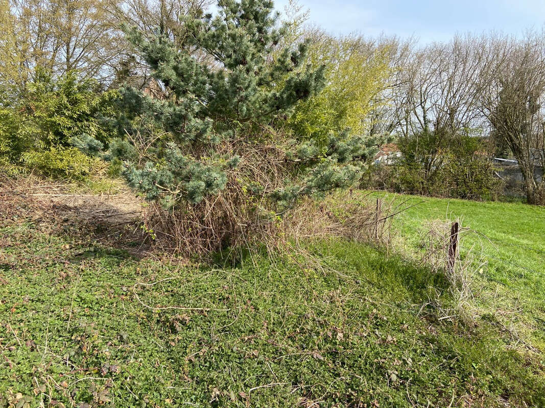 Terrain à RECQUIGNIES