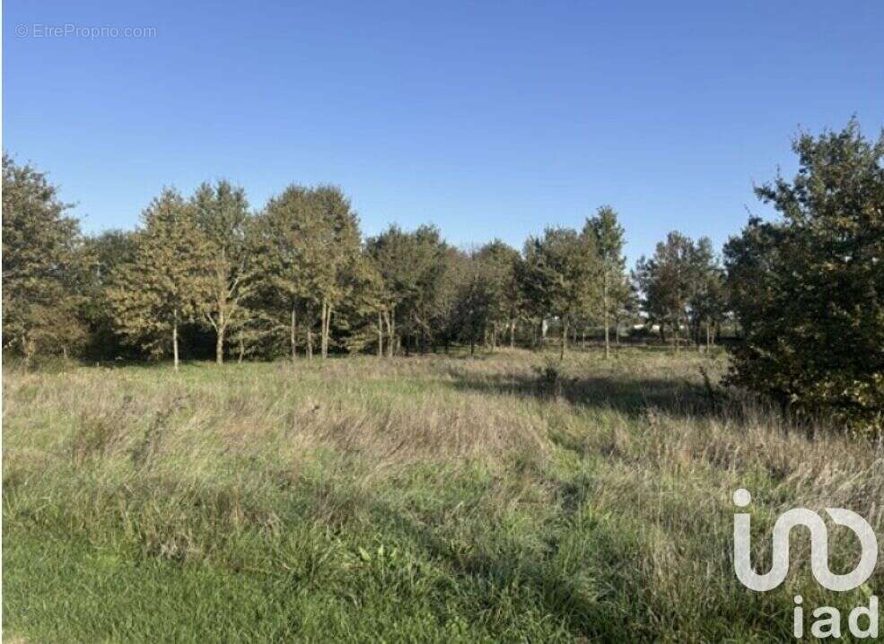 Photo 2 - Terrain à MEAUZAC
