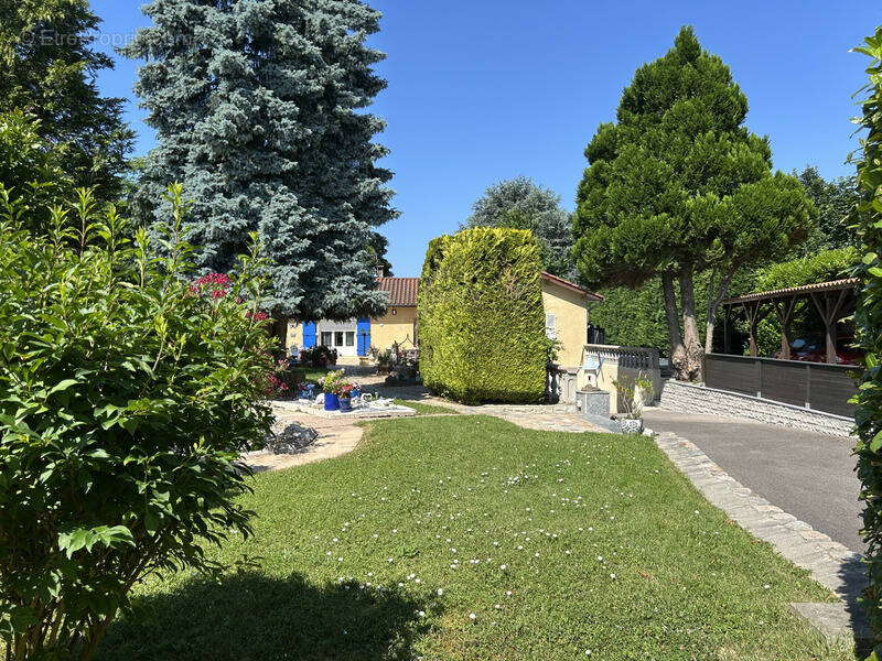 Maison à ARS-SUR-FORMANS