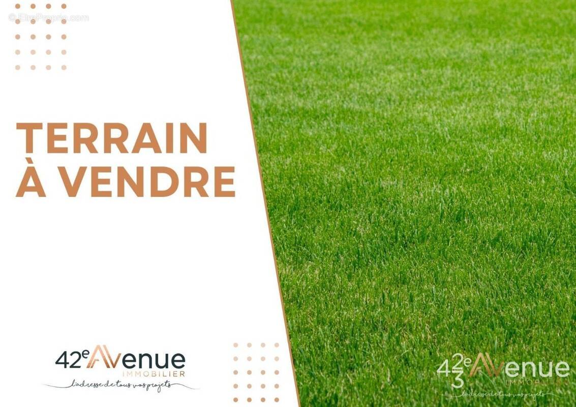 Terrain à VEAUCHE