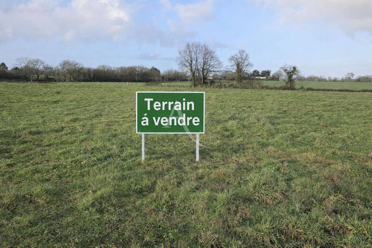 Terrain à COMMEQUIERS