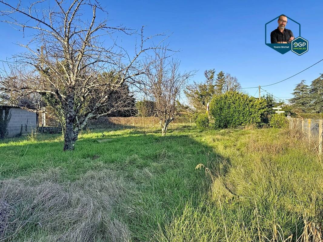 Terrain à COUFOULEUX