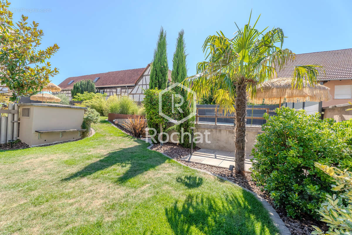 Oberschaeffolsheim   rare t4 rez-de-jardin avec piscine, jardin de 275 m2 et garage double - photo 4
