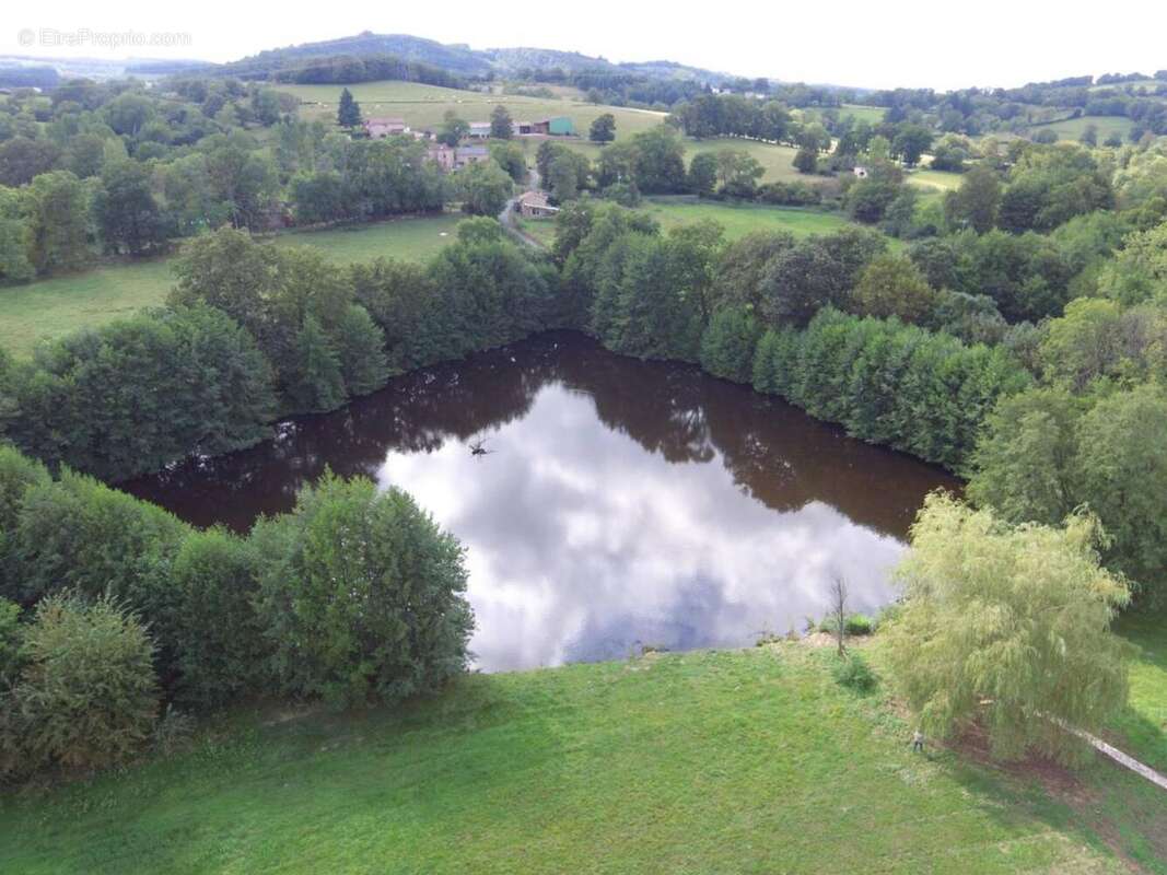 Photo 5 - Maison à LA PACAUDIERE