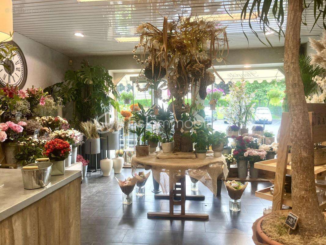 Commerce à SAINTE-ADRESSE