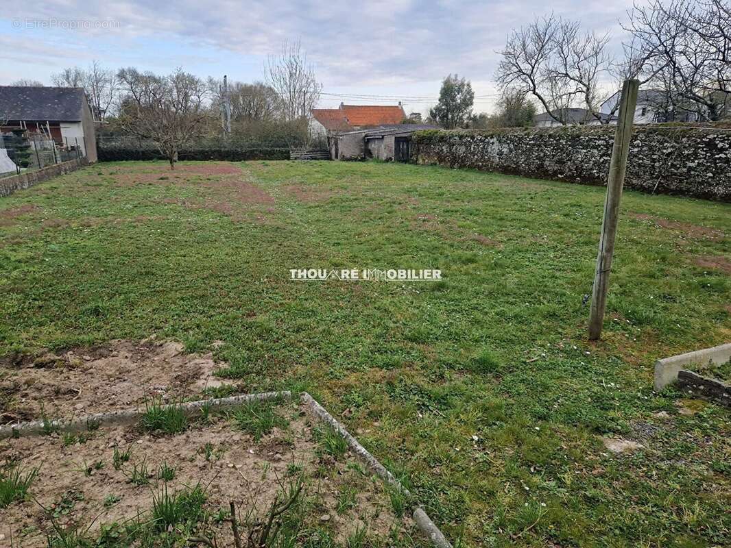 Maison à THOUARE-SUR-LOIRE