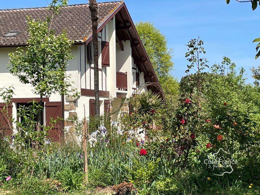 Maison à SALIES-DE-BEARN