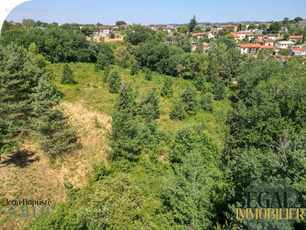 Terrain constructible de 4 526 m2 à Mirandol-Bourgnounac - photo 7