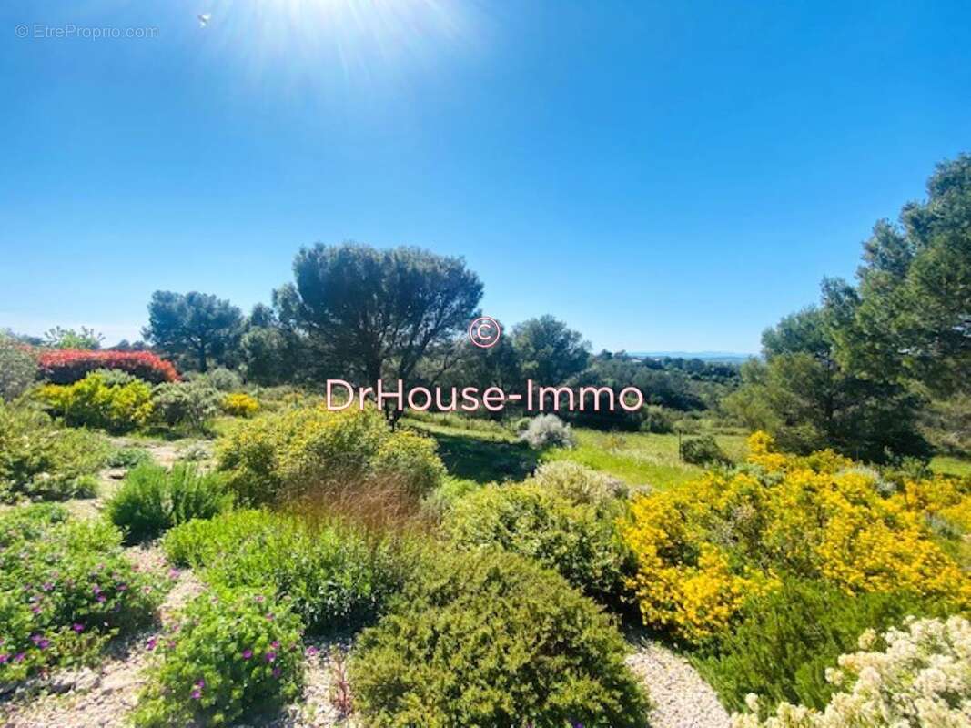 Maison à SAINT-SIFFRET