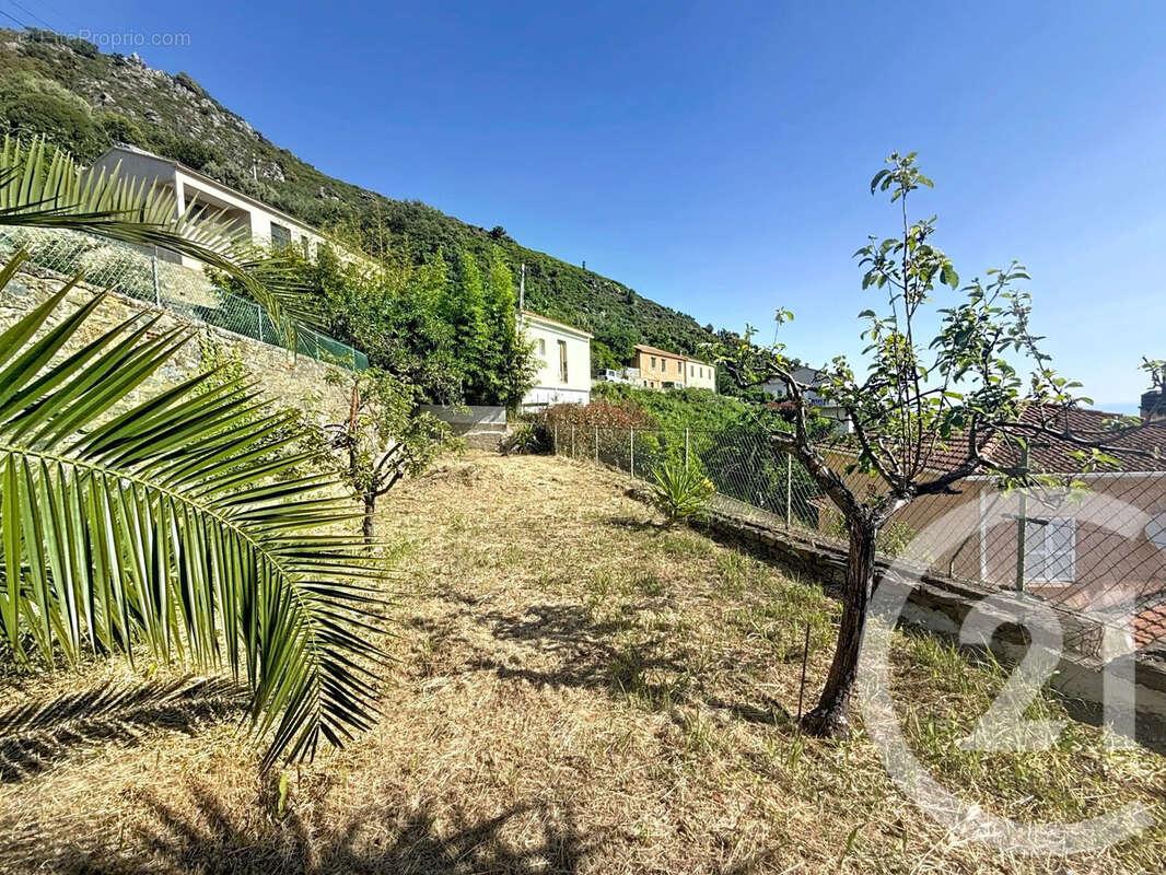 Appartement à CERVIONE