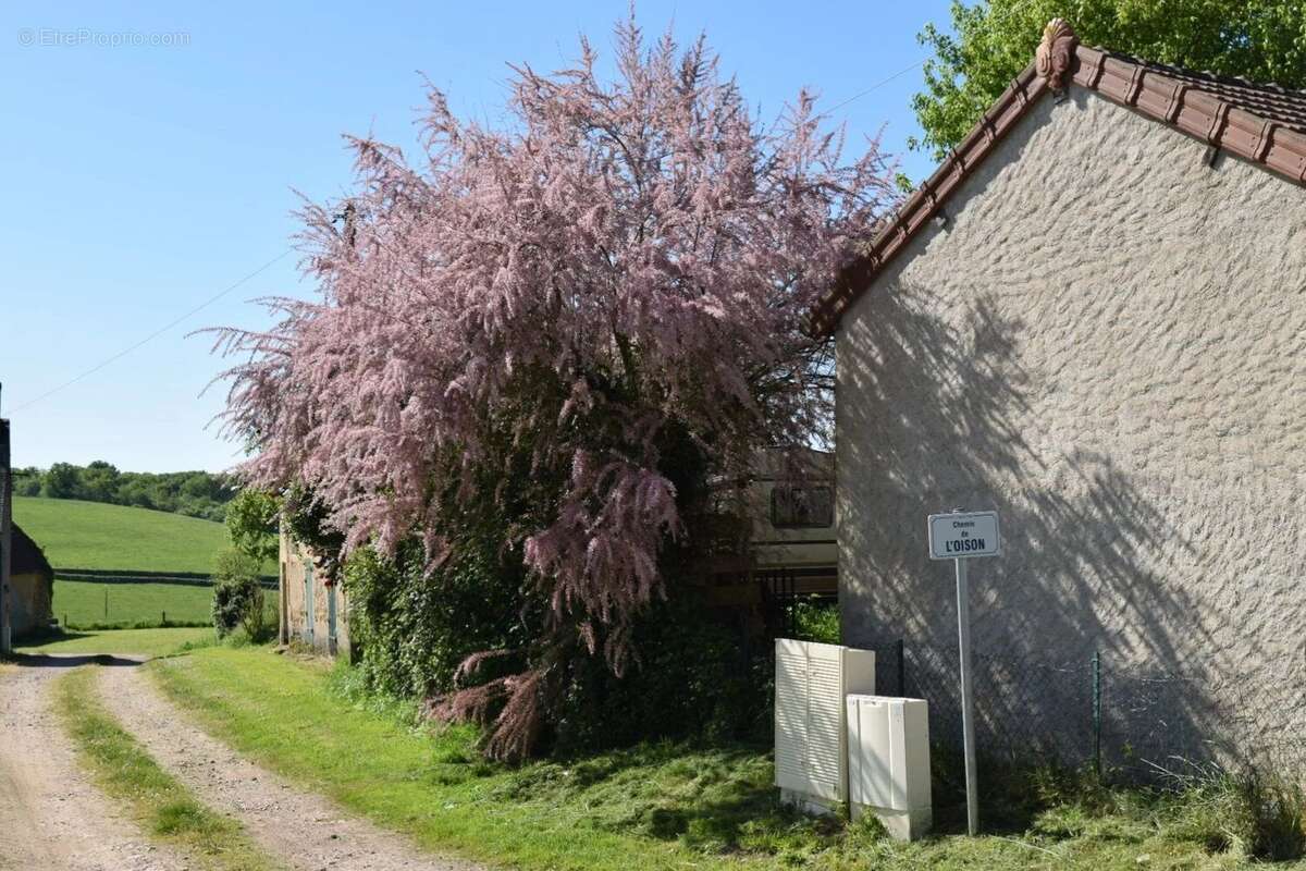 Maison à LIMANTON