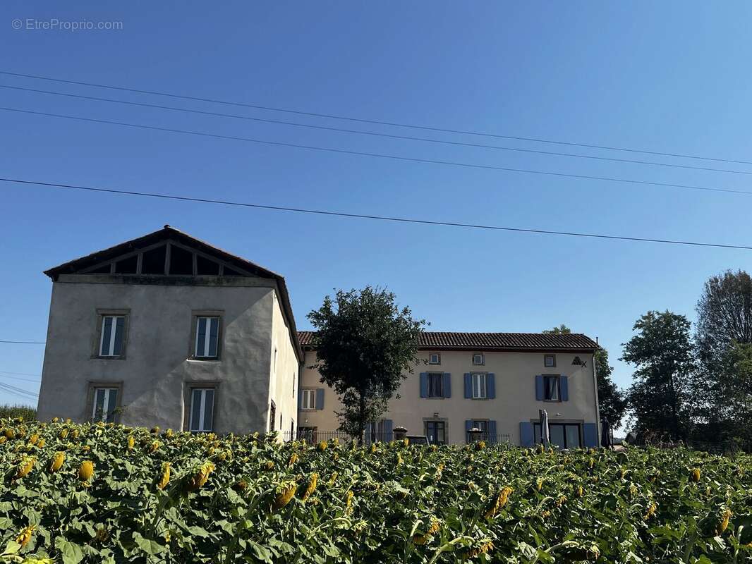 Maison à MONESTIES