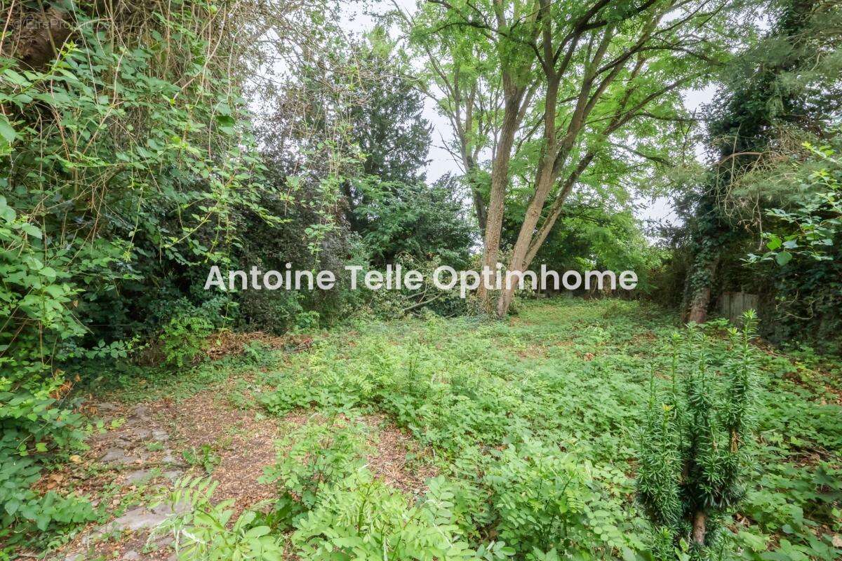 Le Cateau 59360 - maison de 6 chambres & "+" avec grand jardin clos - Cachet & beaux volumes - photo 13