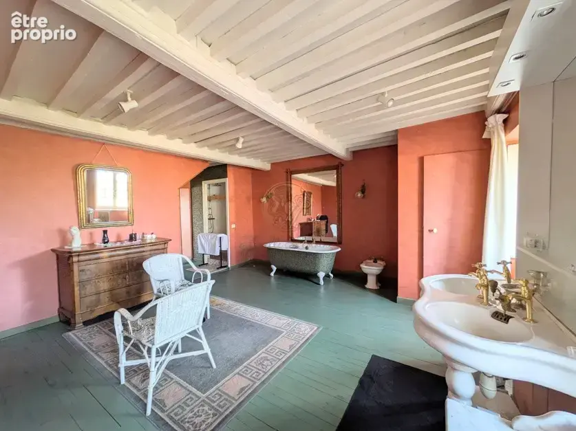 Busséol   Château du XVIIIᵉ siècle au cœur d’un domaine de plus d’un hectare - photo 15
