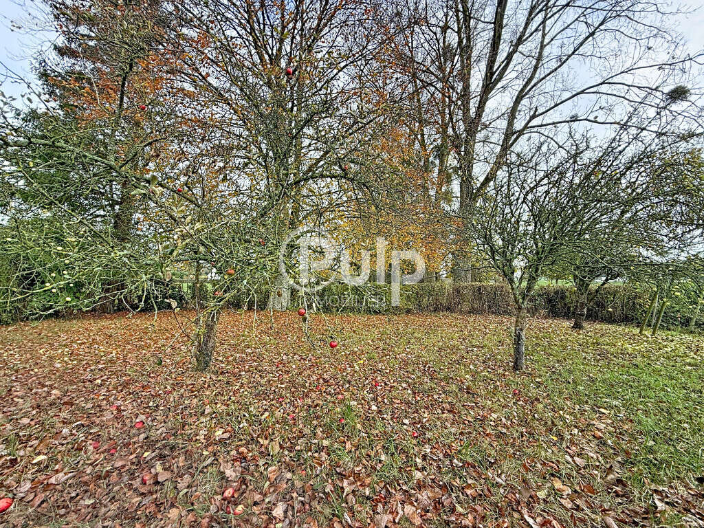 Maison à VIEIL-HESDIN