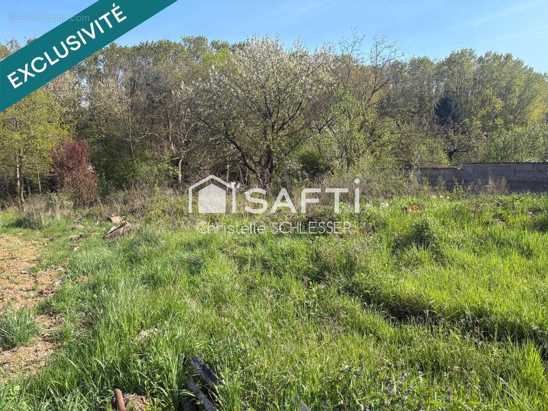 Photo 7 - Terrain à SAINT-NICOLAS-DE-PORT