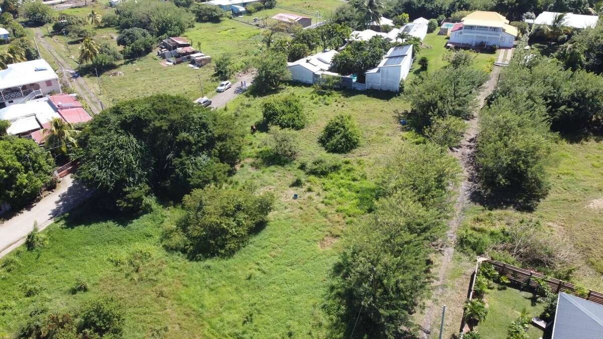 Terrain à LE VAUCLIN