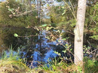 Terrain à STRASBOURG