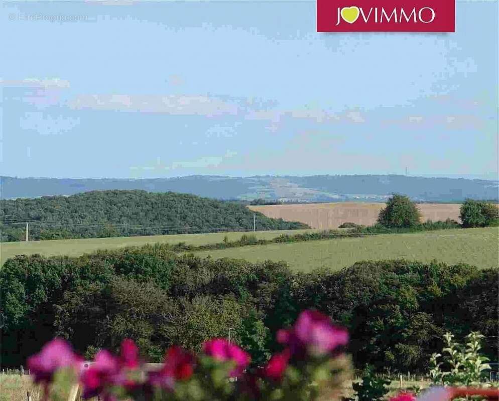 Commerce à LALIZOLLE