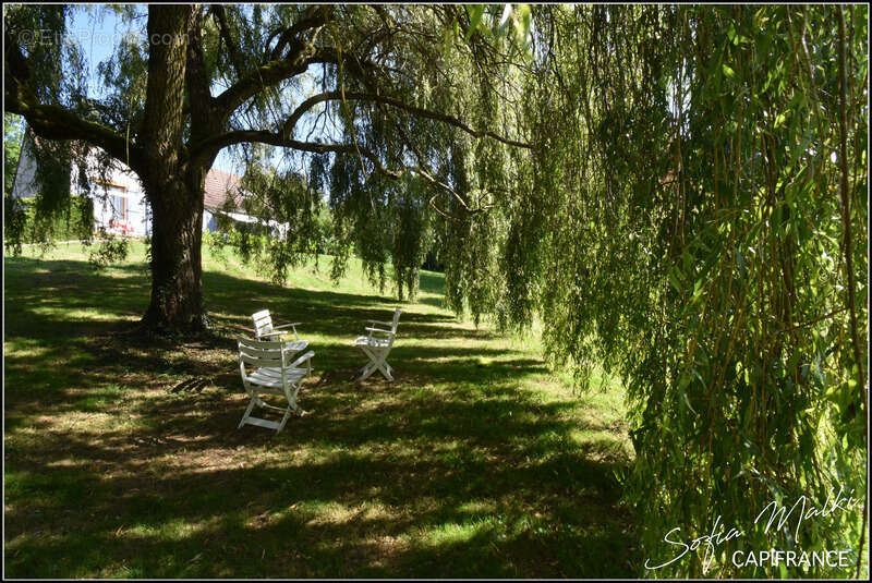 Dpt Indre (36), à vendre CHASSIGNOLLES maison 7 pièces - photo 2