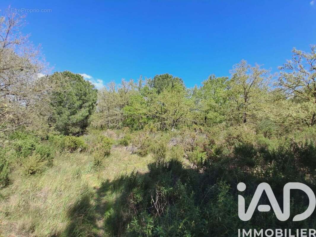 Photo 2 - Terrain à CANET-EN-ROUSSILLON