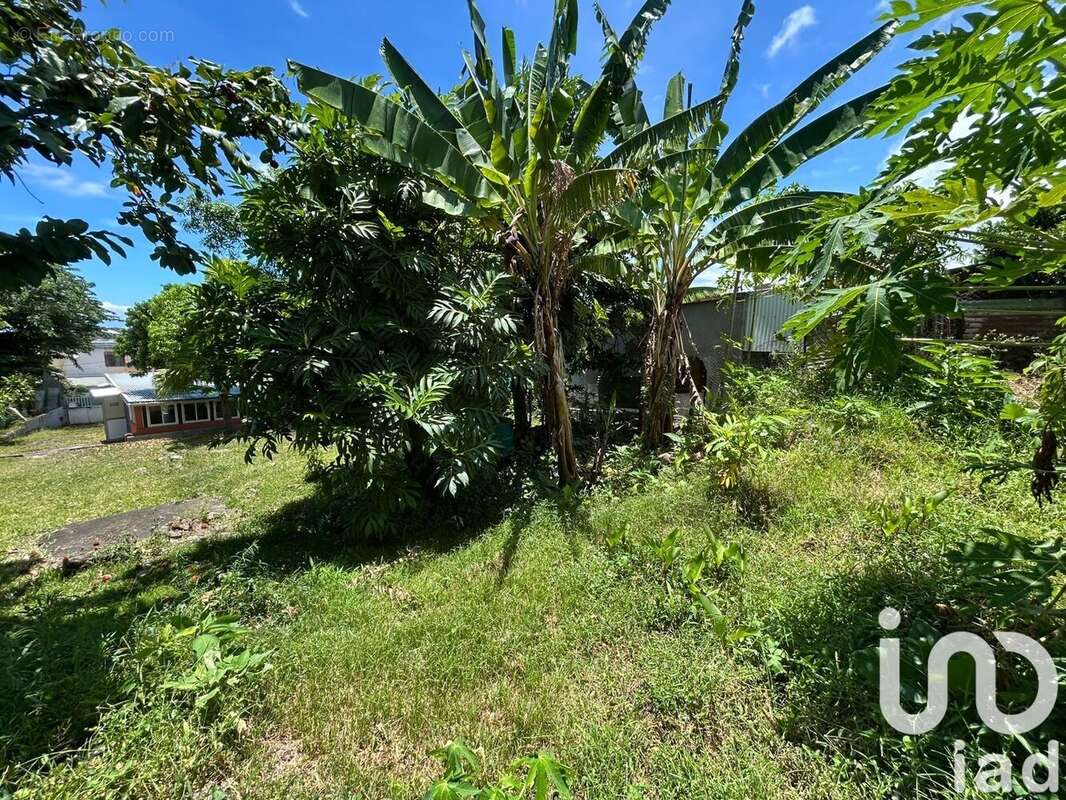 Photo 8 - Maison à SAINT-ANDRE