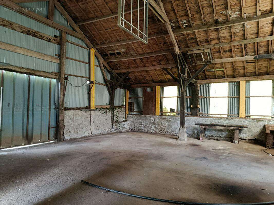 poulaillers industriels - photo 4