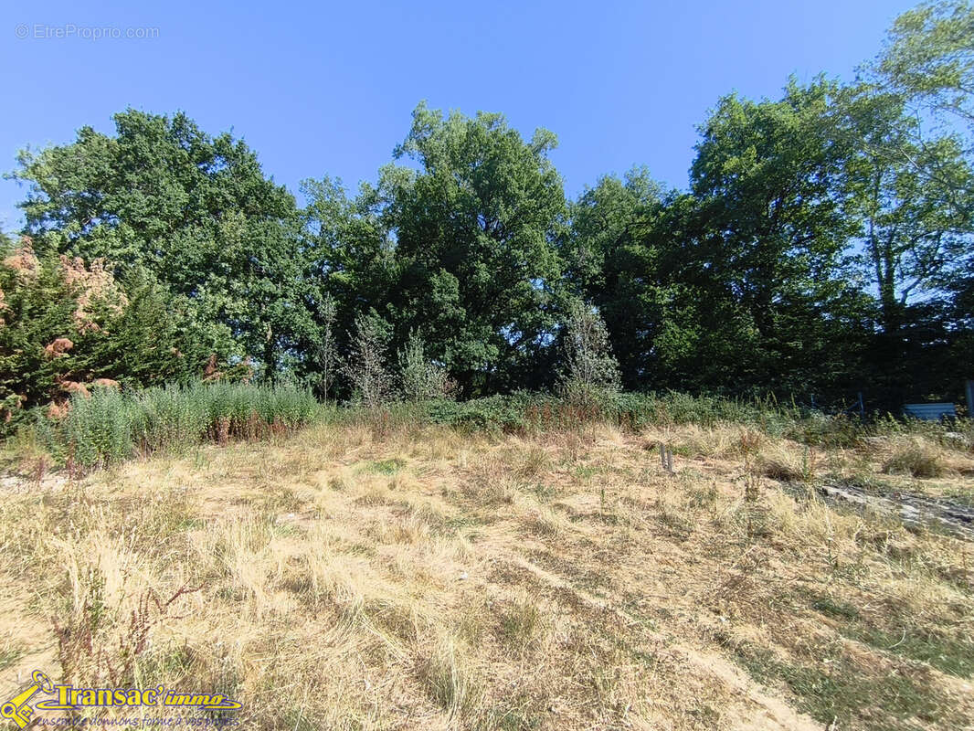 À Orléat, terrain constructible de 1295m2 - photo 4