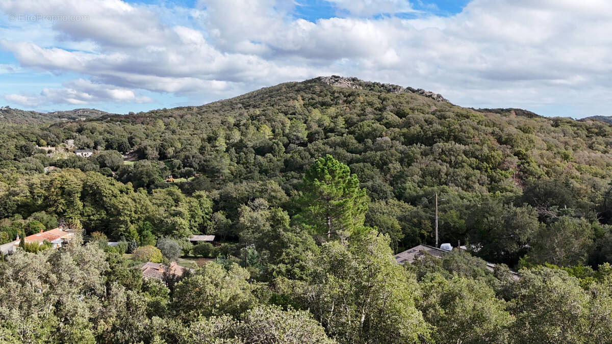 Maison à PORTO-VECCHIO