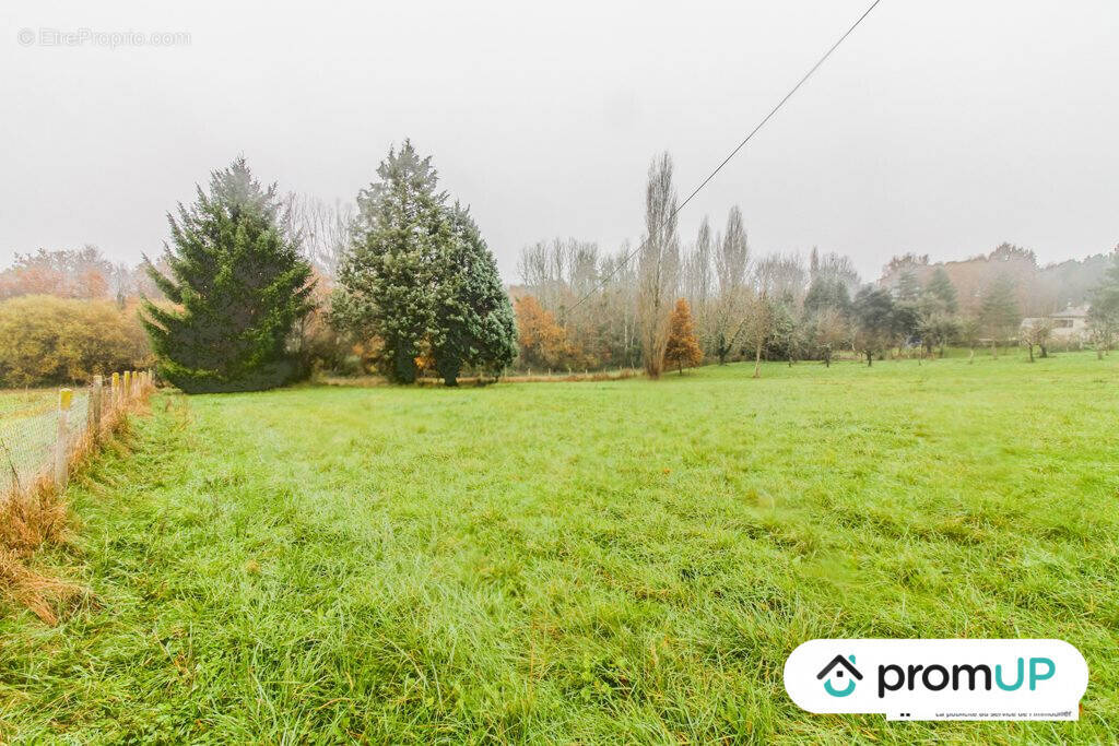 Terrain à SAINT-AULAYE