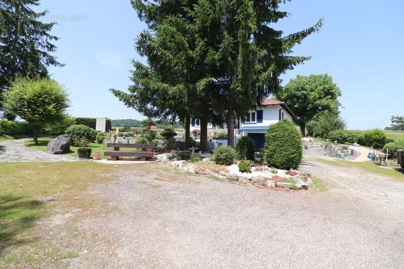 Au milieu des champs - photo 19