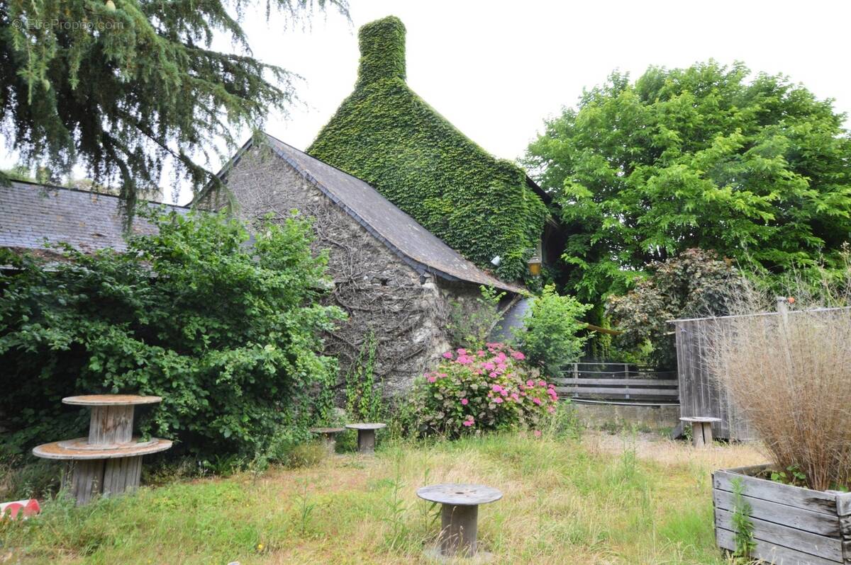 Maison à CHAMPTOCE-SUR-LOIRE