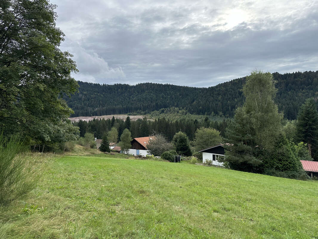 Terrain à GERARDMER