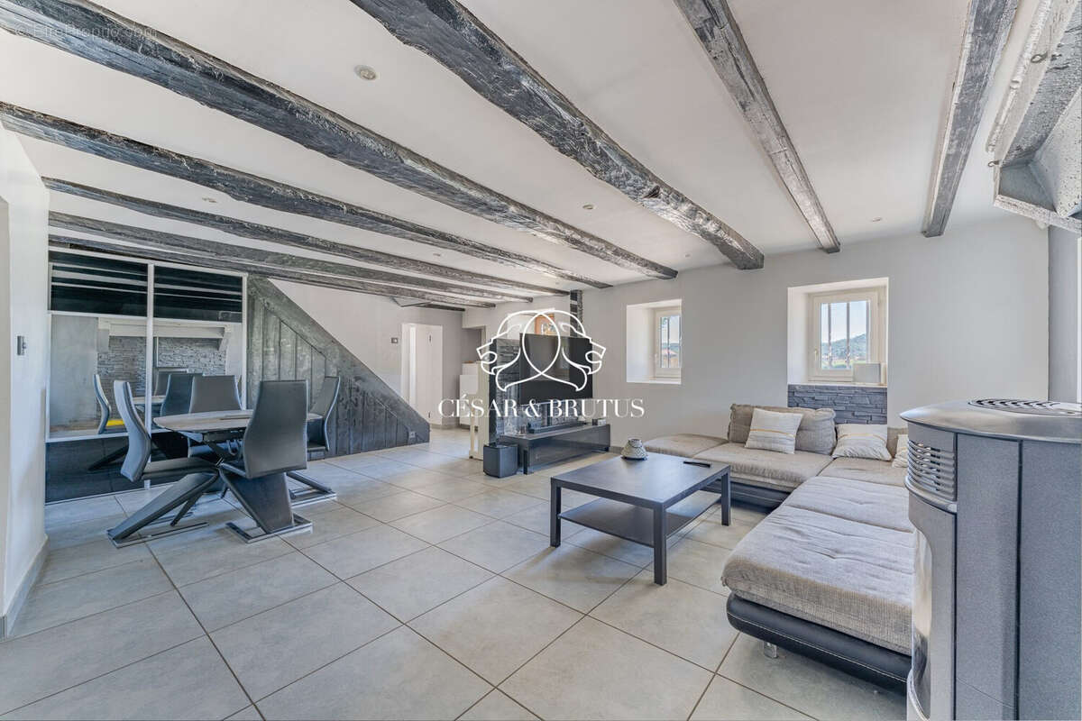 Maison 214 m² à Chozeau  - photo 8