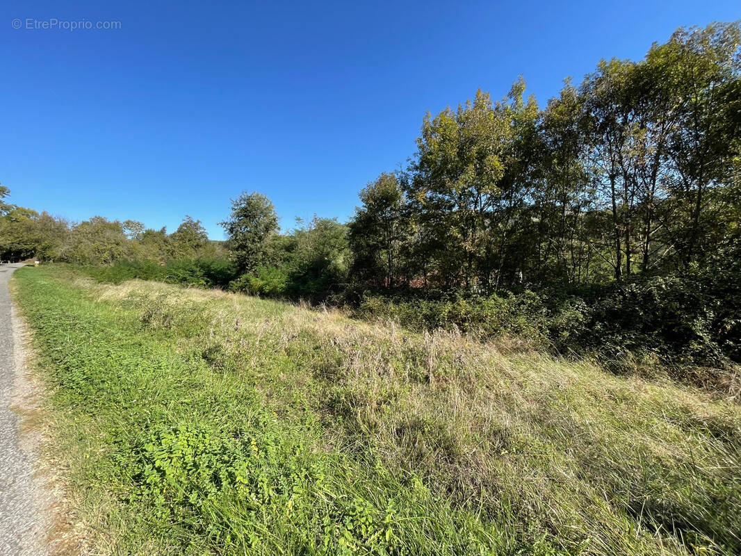 Terrain à LE MAS-D'AZIL