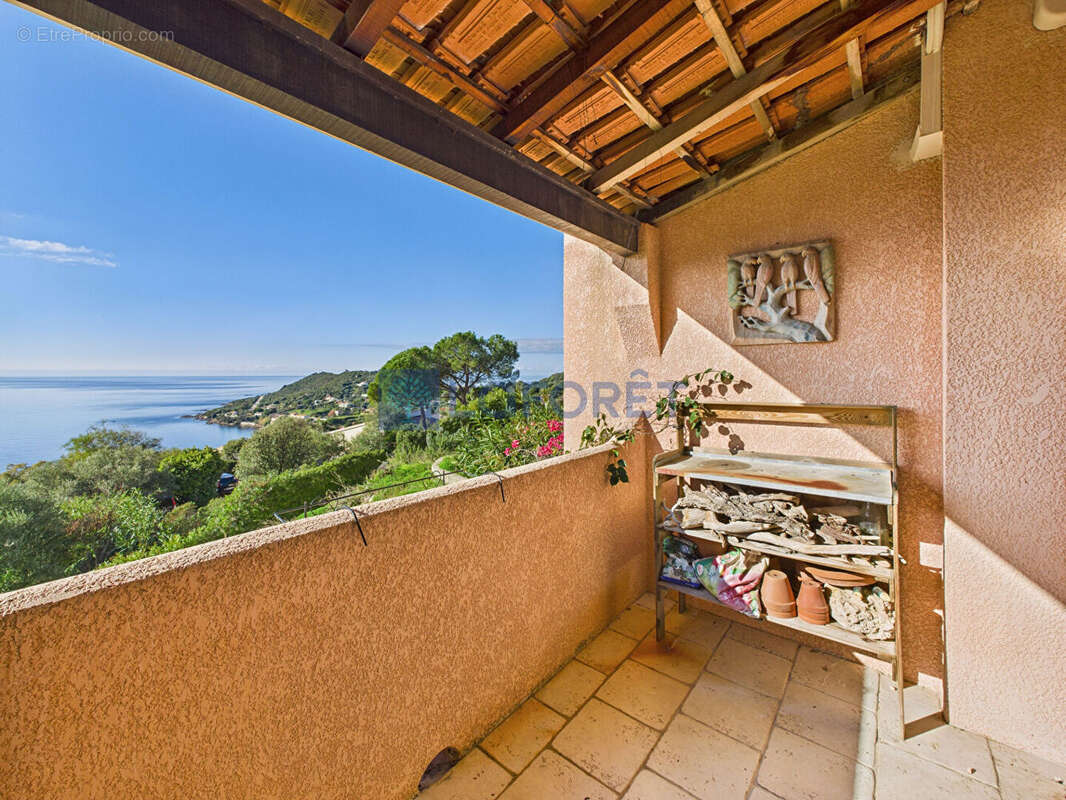 Appartement à CASAGLIONE