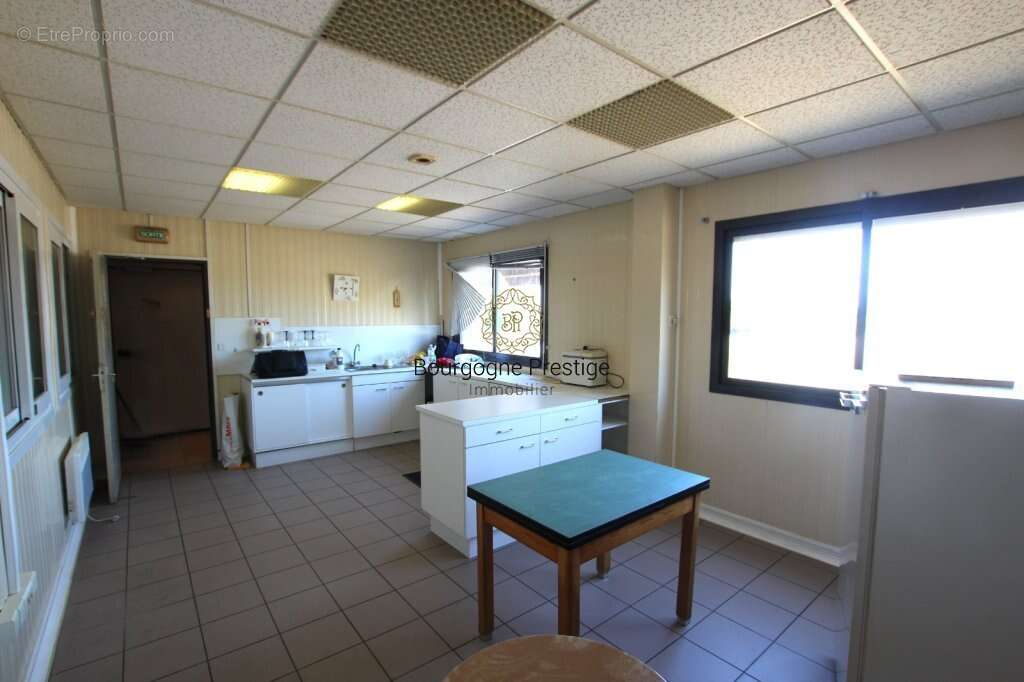 Batiment industriel 922 m² dont bureaux 332 m². stockage chambres froides 590 m² sur un terrain de 10 153 m² - photo 10