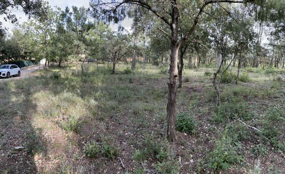 Terrain à LE THORONET