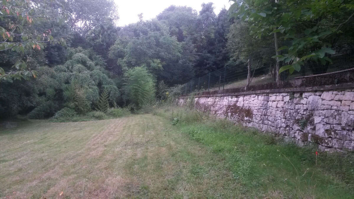 Terrain Niort - 3400 m2 - photo 5