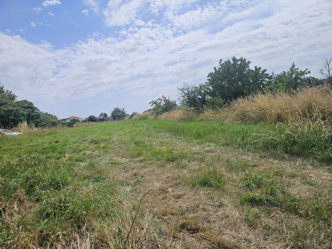 Terrain constructible LE MARILLAIS 13min d'Ancenis - photo 3