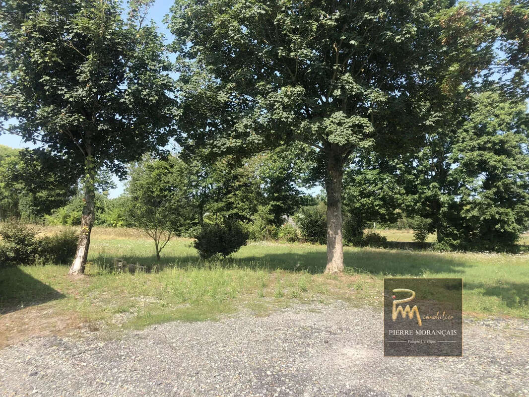 Idéal Investisseur - photo 4