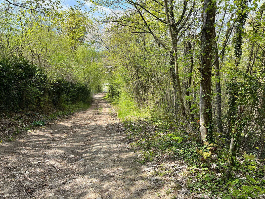 Terrain à MAULE