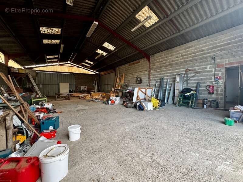 Commerce à MONSEGUR