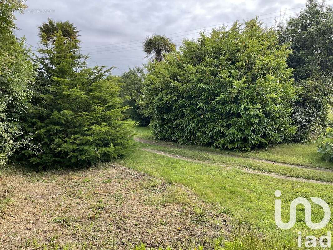 Photo 3 - Terrain à PERROS-GUIREC