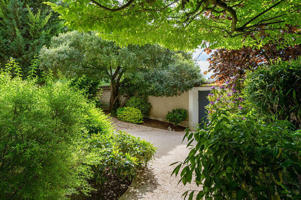 Maison de maître 247 m² avec piscine - vieux bezannes - photo 4