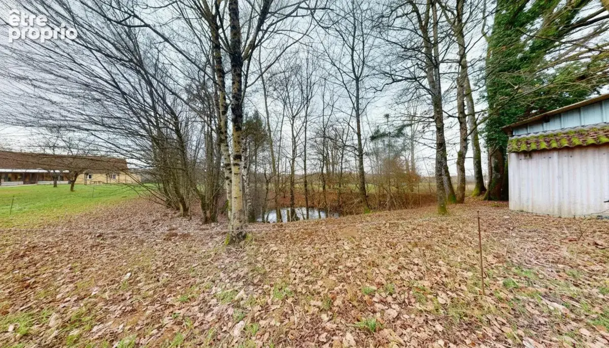 Maison-5 pièces-10 hectares - photo 21