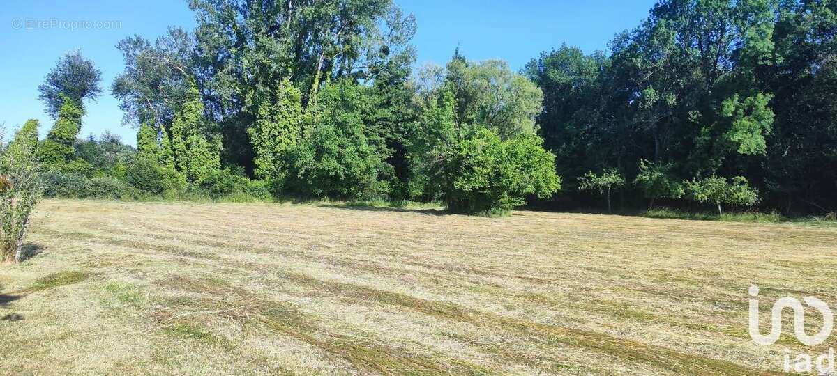 Photo 8 - Maison à VENDOEUVRES