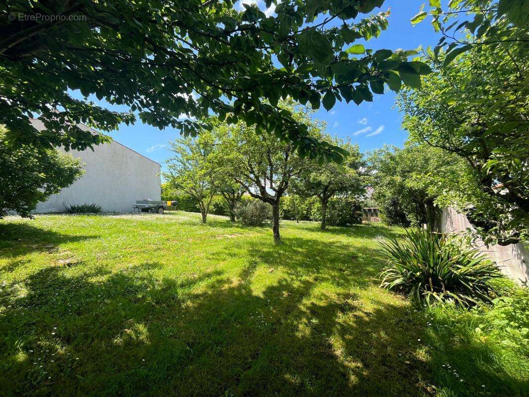 Terrain à NIEUL-SUR-MER