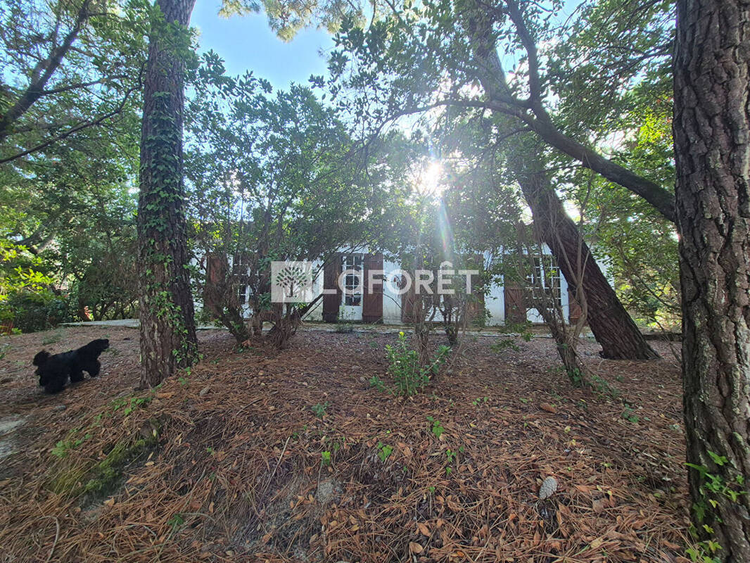 Maison à LEGE-CAP-FERRET