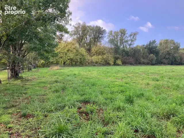 Terrain en bord de la Dordogne à Pechs-de-l'Espérance - 6370m2 - photo 7
